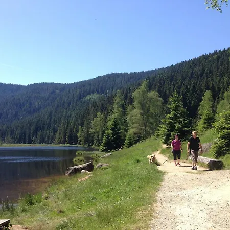 Holiday home In The Bavarian Forest Schofweg