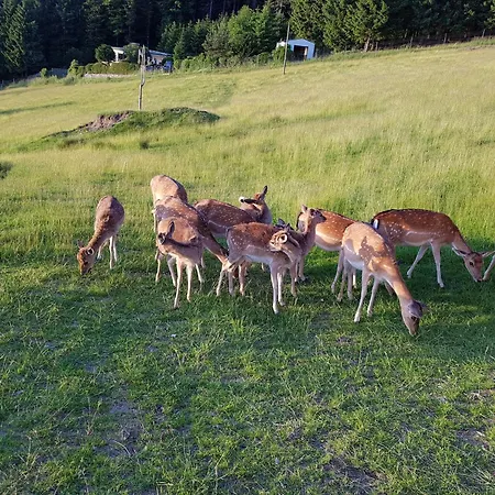 Im Bayerischen Wald Casa de Férias