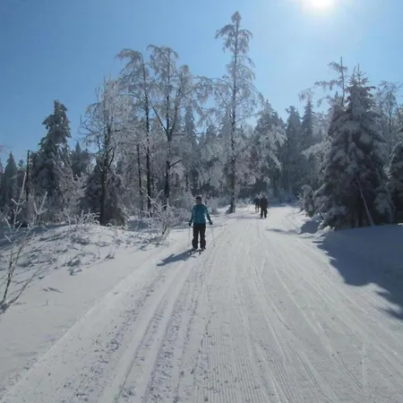 Casa de Férias Im Bayerischen Wald *