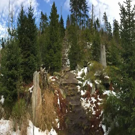 Casa de Férias Im Bayerischen Wald
