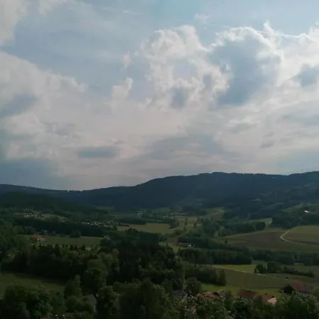 In The Bavarian Forest Schöfweg