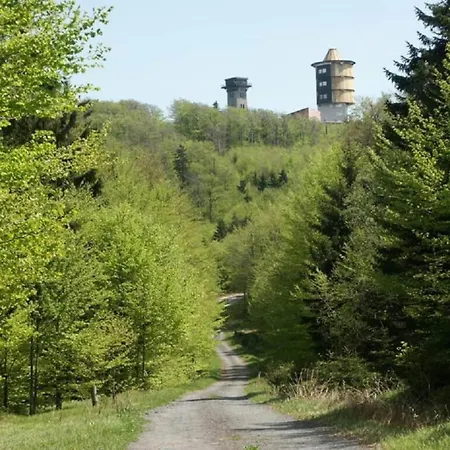 Ferienhaus In The Bavarian Forest Schöfweg