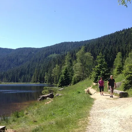 Dom wakacyjny Im Bayerischen Wald Schöfweg
