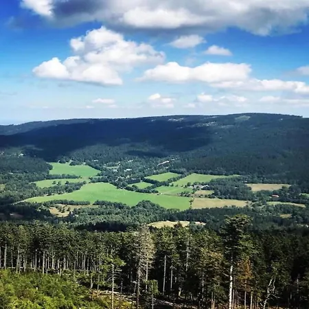 Im Bayerischen Wald * Schöfweg