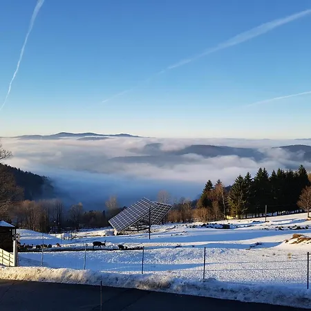 Im Bayerischen Wald * Schöfweg