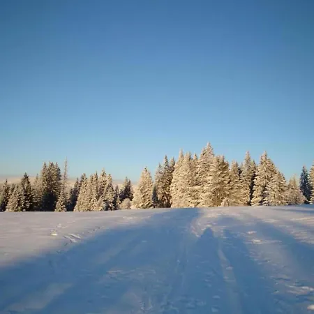 Ferienhaus Im Bayerischen Wald Schöfweg
