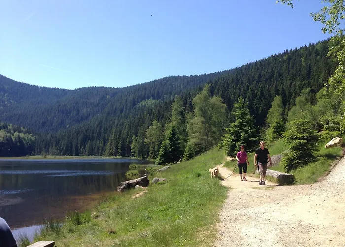 Casa vacanze Im Bayerischen Wald Schöfweg