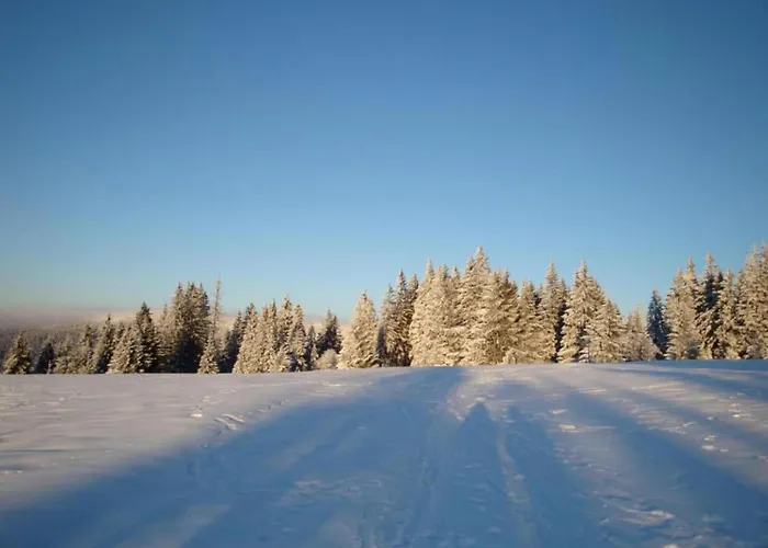Im Bayerischen Wald Casa vacanze Schöfweg