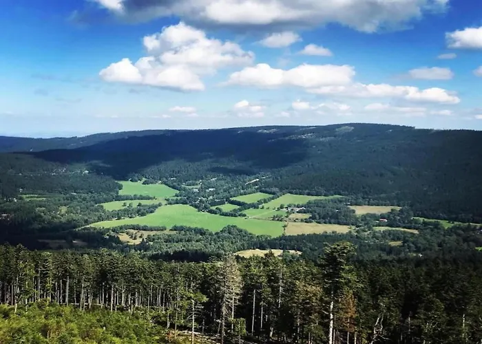 Im Bayerischen Wald * Schöfweg