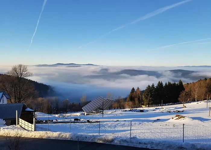 Im Bayerischen Wald * Schöfweg